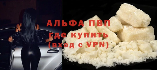 ешки Арсеньев