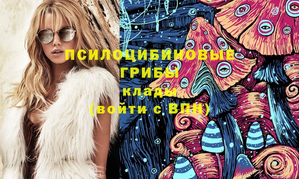 стаф Армянск