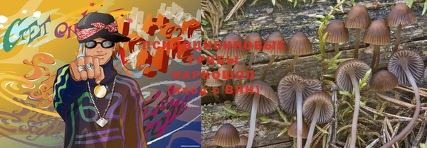 ешки Арсеньев
